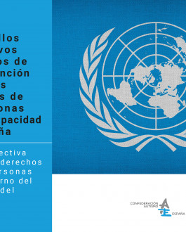 Portada Desarrollos normativos derivados de la Convención sobre los derechos de las personas con discapacidad en España