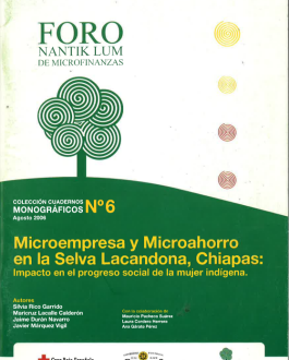 Portada Microempresa y microahorro en la selva Lacandona, Chiapas: impacto en el progreo social de la mujer indígena