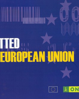 Portada de la guía Committed to the european union