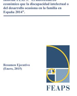 Portada Informe FEAPS: “El sobreesfuerzo económico que la discapacidad intelectual o del desarrollo ocasiona en la familia en España 2014”