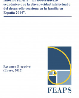 Portada Informe FEAPS: “El sobreesfuerzo económico que la discapacidad intelectual o del desarrollo ocasiona en la familia en España 2014”