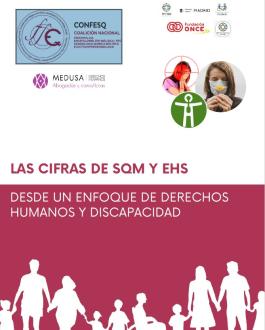Cubierta Las cifras de SQM y EHS desde un enfoque de derechos humanos y discapacidad