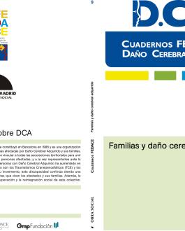 Familias y daño cerebral adquirido