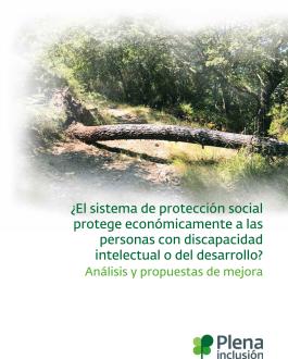 ¿El sistema de protección social protege económicamente a las personas con discapacidad intelectual o del desarrollo? Análisis y propuestas de mejora