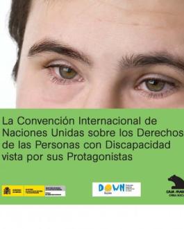 Portada del Libro ingles La Convención Internacional de Naciones Unidas sobre los Derechos de las Personas con Discapacidad vista por sus Protagonistas