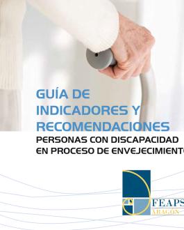 Portada del Libro Guía de indicadores y recomendaciones personas con discapacidad