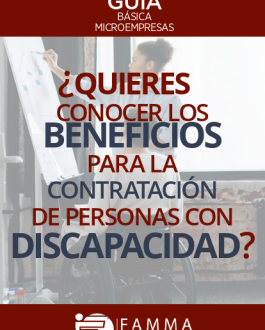 CubiertaGuía básica microempresas: beneficios para la contratación de personas con discapacidad