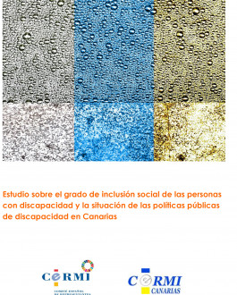 Portada Estudio sobre el grado de inclusión social de las personas con discapacidad y la situación de las políticas públicas de discapacidad en Canarias