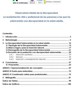 Observatorio Estatal de la Discapacidad. La reorientación vital y profesional de las personas a las que ha sobrevenido una discapacidad en la edad adulta