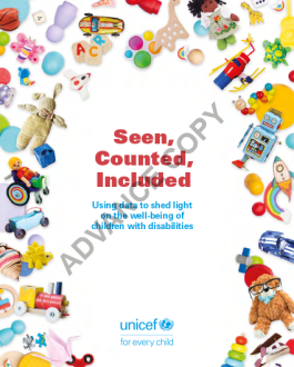 Seen, Counted, Included: Using data to shed light on the well-being of children with disabilities