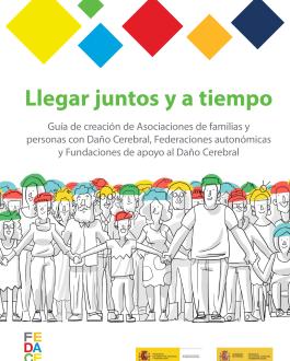 Portada Llegar juntos y a tiempo. Guía de creación de Asociaciones de familias y personas con Daño Cerebral, Federaciones autonómicas y Fundaciones de apoyo al Daño Cerebral