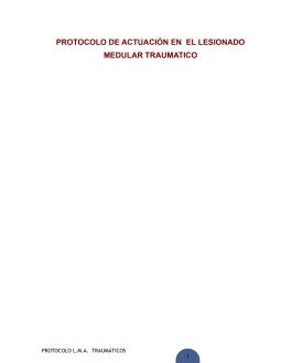 Protocolo de actuación en el lesionado medular traumatico