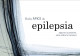 Portada del Libro Guía ÁPICE de Epilepsia