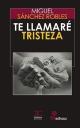 Portada Te llamaré tristeza (XXIV Premio Tiflos de Novela)