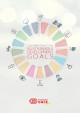Contribution to the Sustainable Development Goals