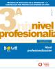 Portada Nivel profesionalización del programa de Tecnologías de la Información y la Comunicación para personas con síndrome de Down