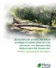 ¿El sistema de protección social protege económicamente a las personas con discapacidad intelectual o del desarrollo? Análisis y propuestas de mejora