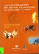 Guía de deporte adaptado para personas con discapacidad. Taller de empleo Valencia (DVD) III