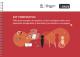 Portada KIT FORMATIVO: taller para mejorar la inclusión y la gestión de la discapacidad en los equipos de las empresas y departamentos tecnológicos