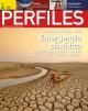 Portada Revista PERFILES (nº 386 Diciembre 2022)
